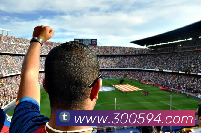 奖项证书